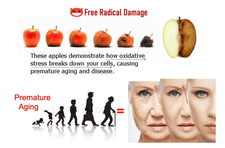 A Collage of Different Stages of Aging